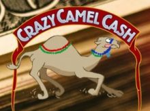 Casinos Allowing US Players