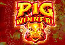 Pig Winner