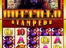 Buffalo Stampede Slot Machine